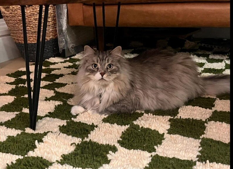 Green Mrirt carpet| soft wool |customize your size| moroccan rug